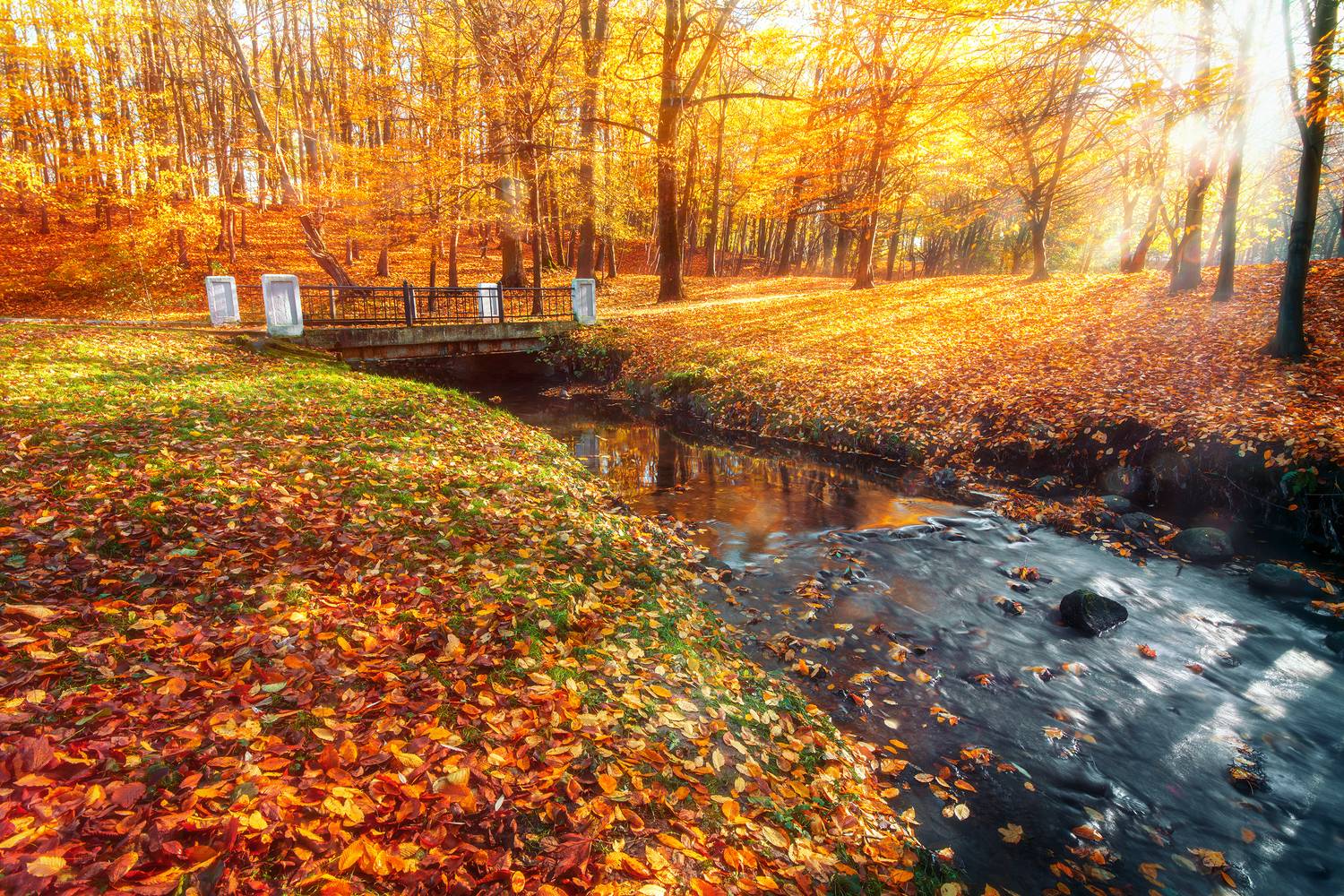 , Павел Абакумов
