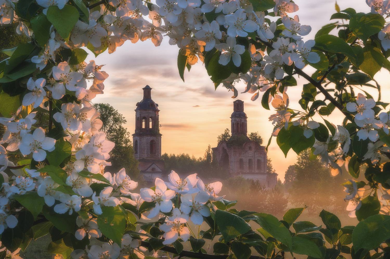 , Михаил Устюжанин