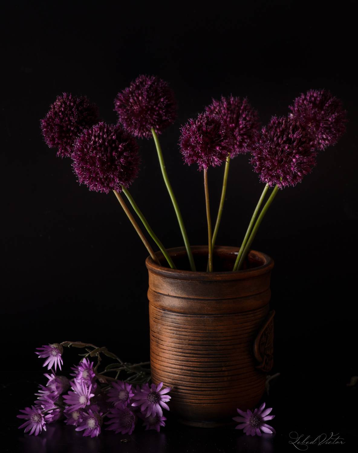 , Виктор Лебедь