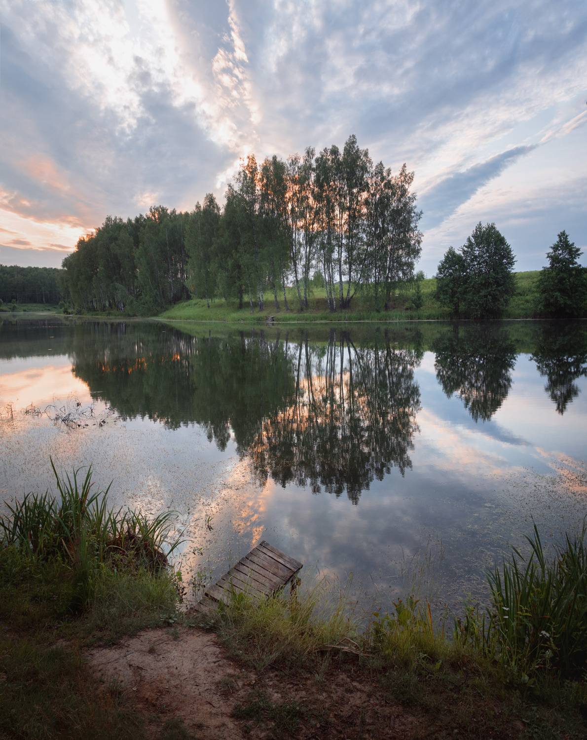 лес, свет, утро, природа, Баранов Олег