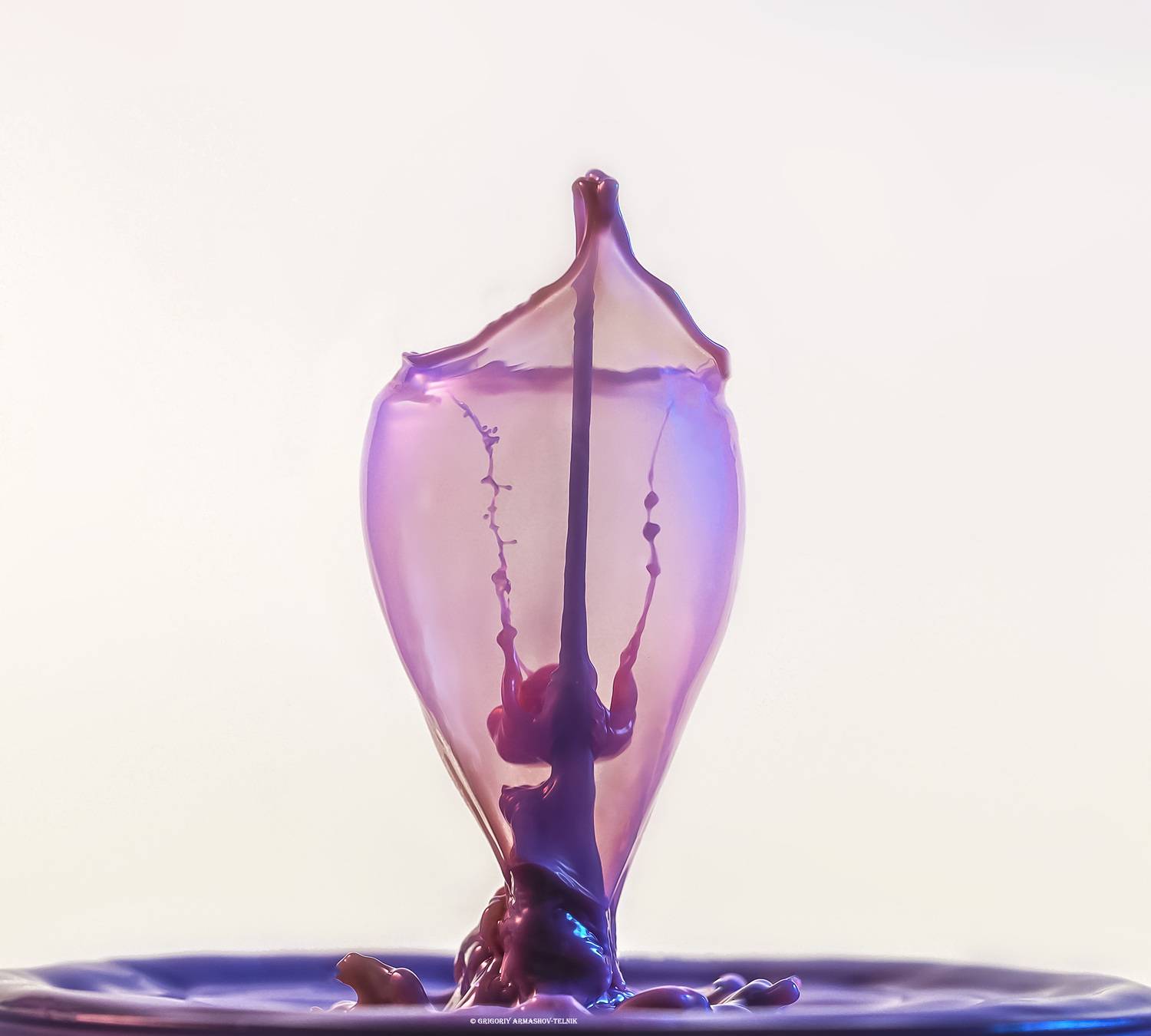 #macro #drops #milk #pink #watercolor #liquid , Армашов-Тельник Григорий