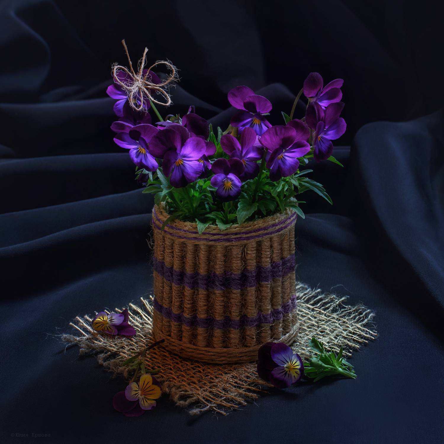 анютины глазки, натюрморт, Ершова Юлия