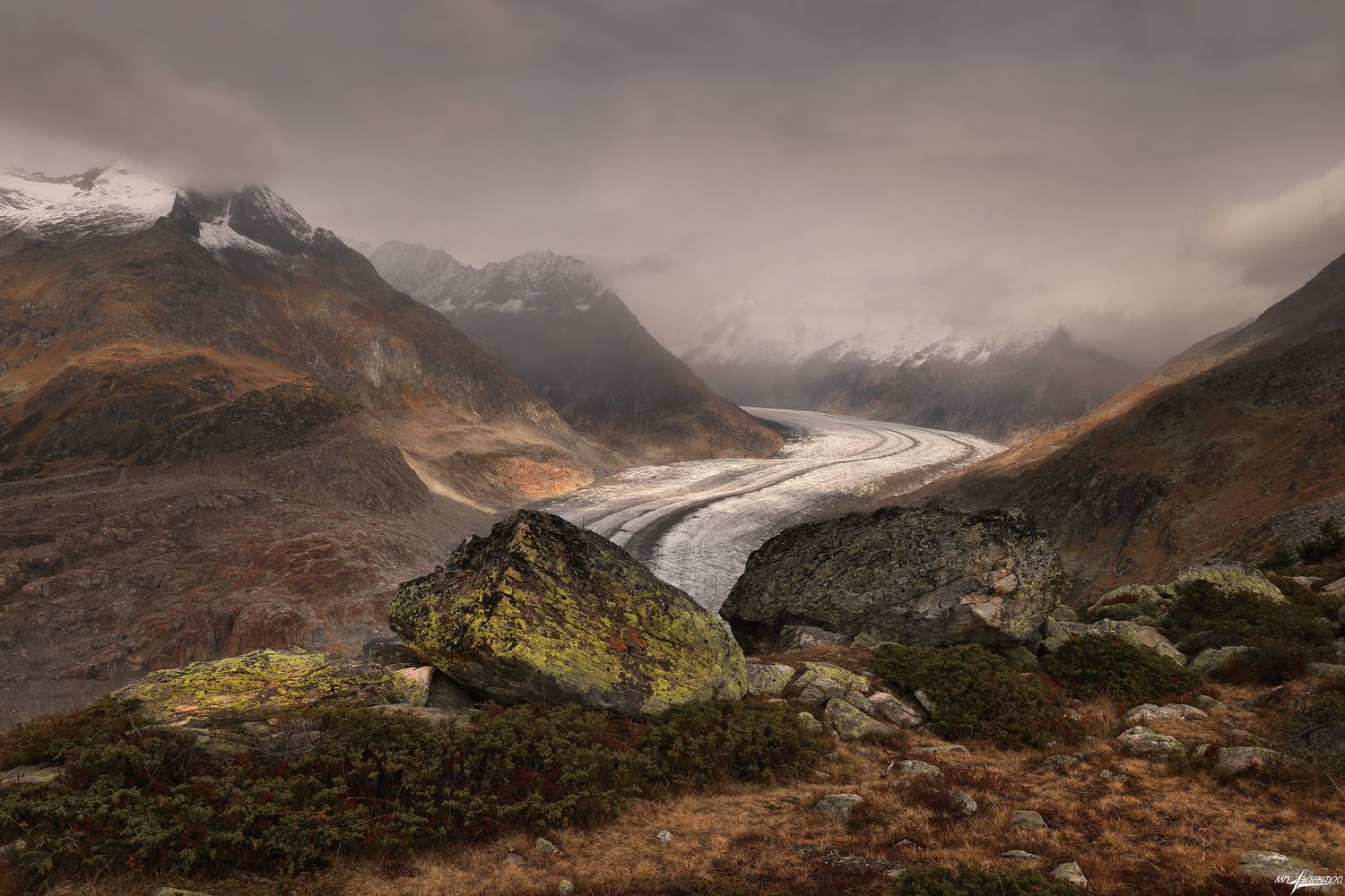 swiss, Матвеев Николай