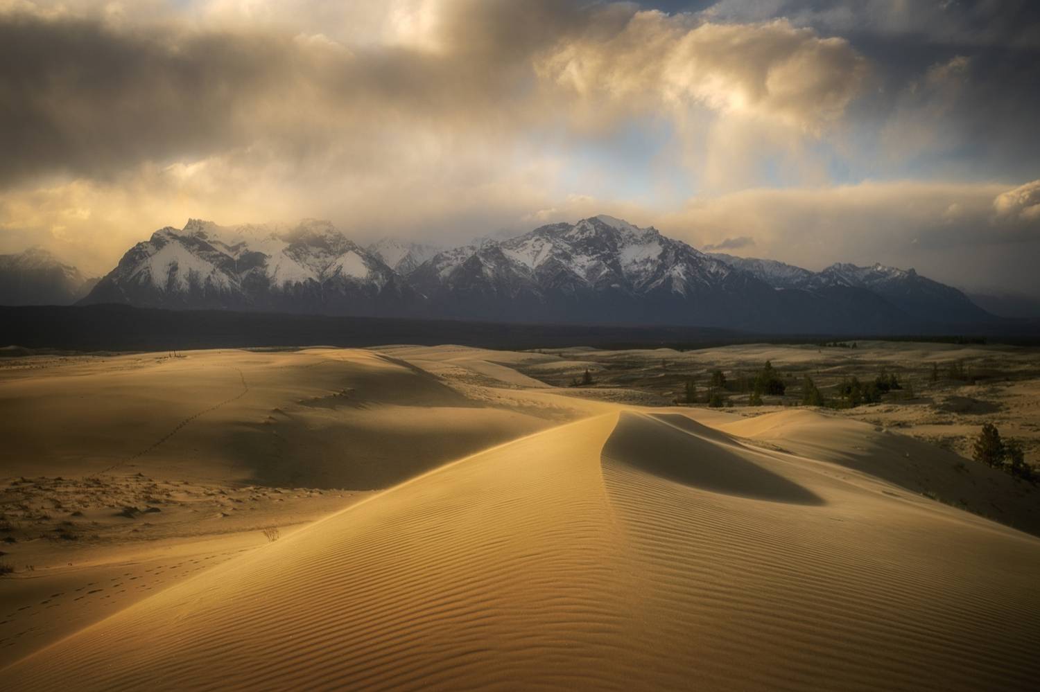 , Андрей Ершов