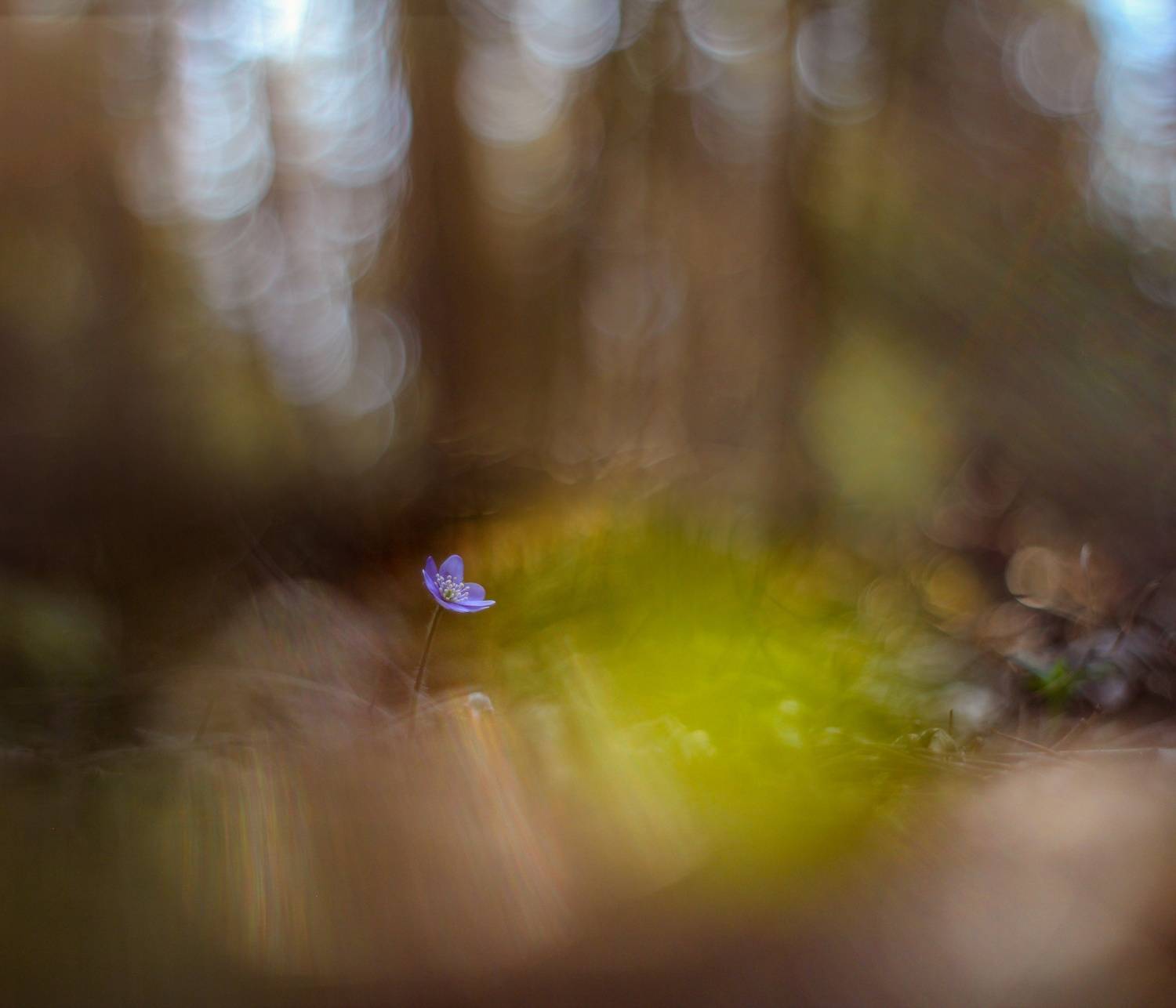 , Александр