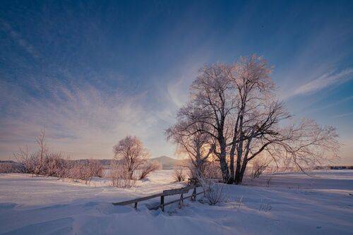 Алтайский край
