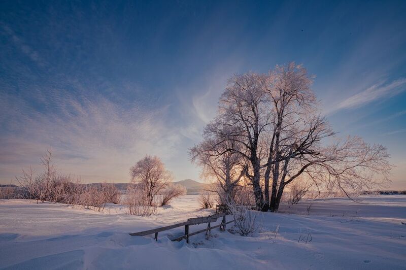 Зима, лес, озеро, холмы, алтай Алтайский край фото превью