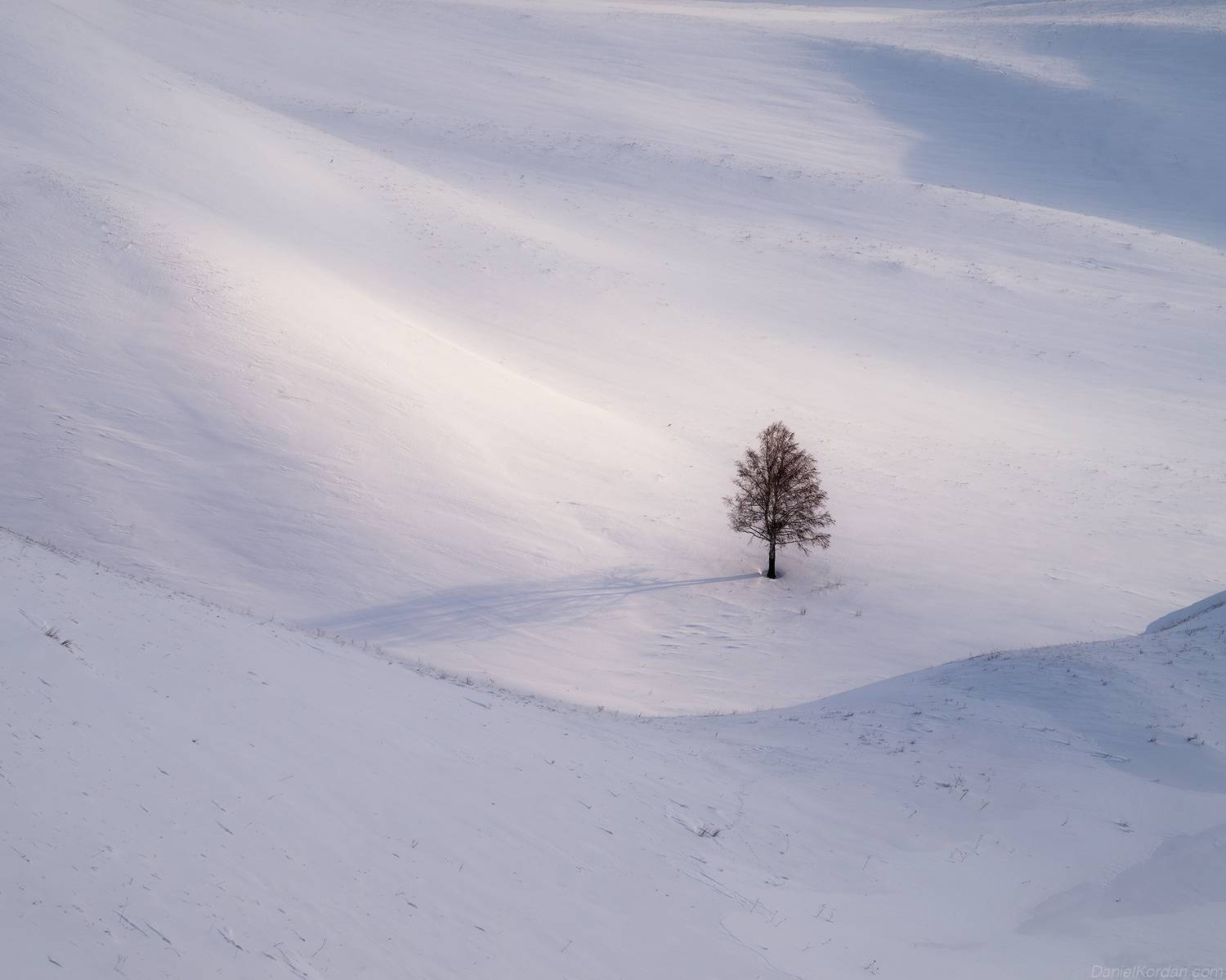 , Даниил Коржонов