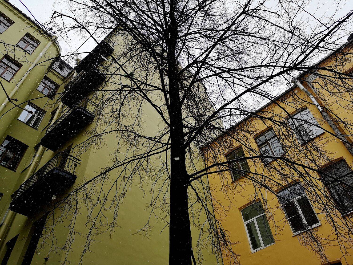 , Антон Лаба