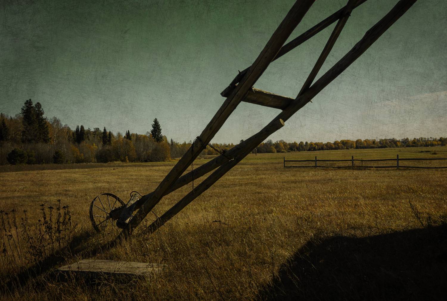 , Сагдиева Эльвира