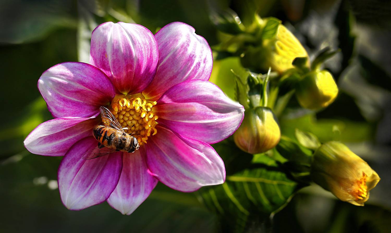 , Ушаков Валерий