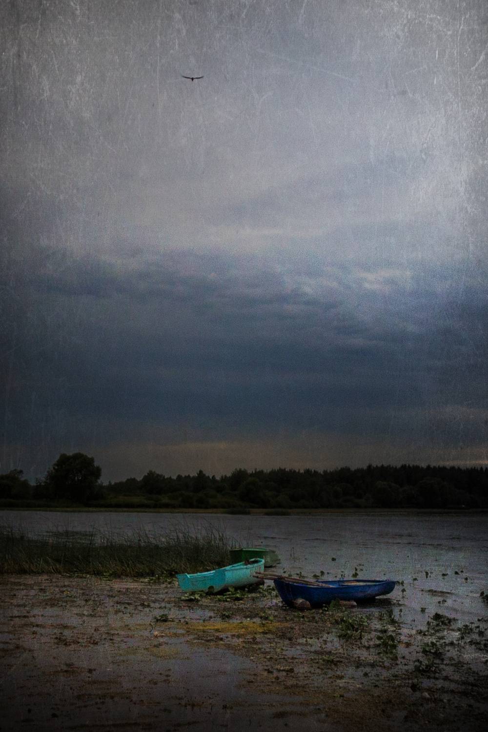 ярославская область, волга, солоница, лодки, непогода, Елена Рубинская