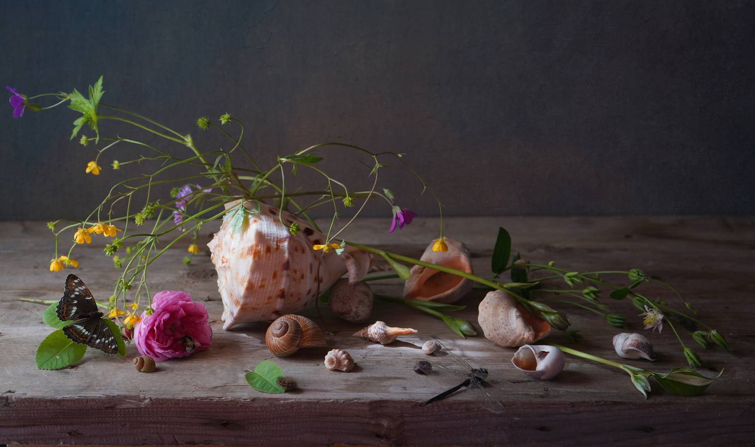 , Хохлова (Ермохина) Наталья