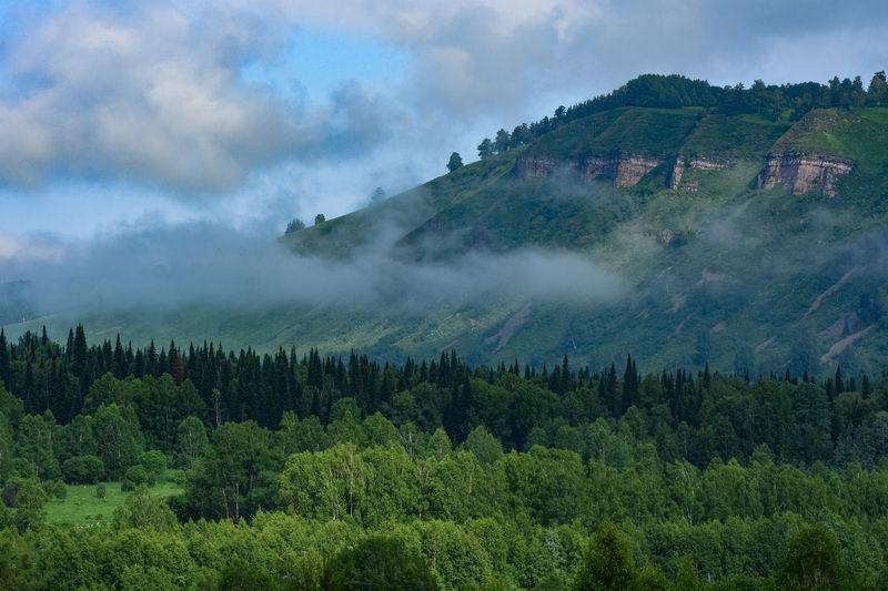 Июньское утро после дождя фото превью