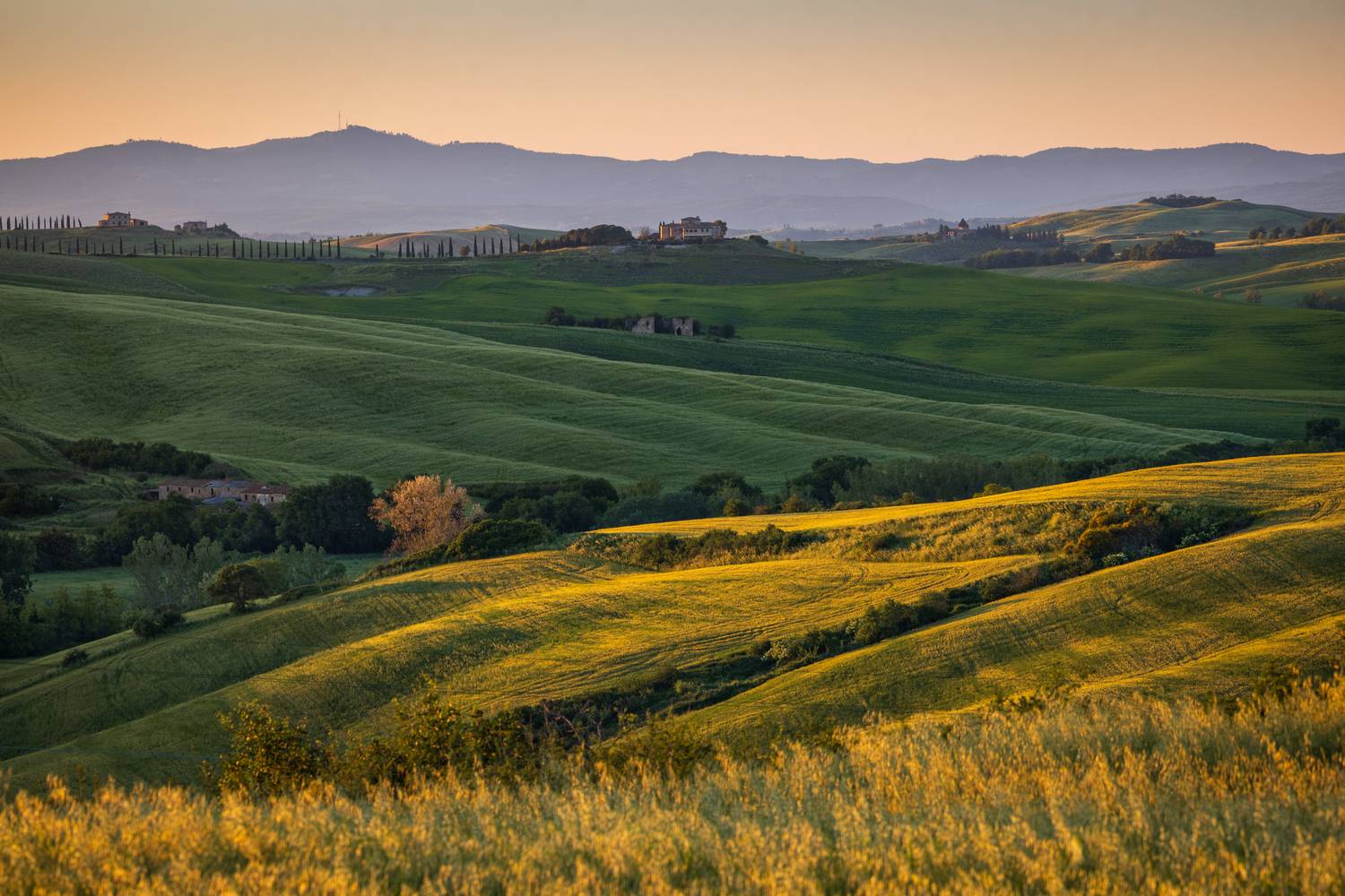 , Алекс Римский