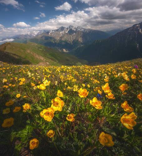 Сидя на высоком холме...