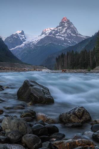 Красавица Белалакая