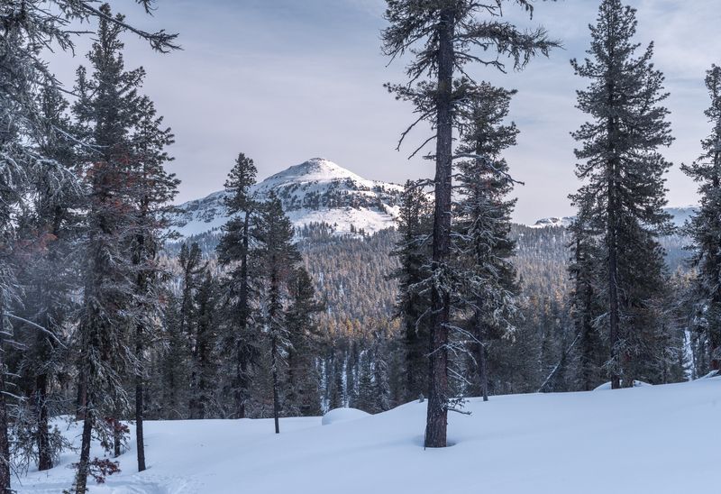 Зима, снег, Хамар-Дабан, Прибайкалье, закат Леса Хамар-Дабана фото превью