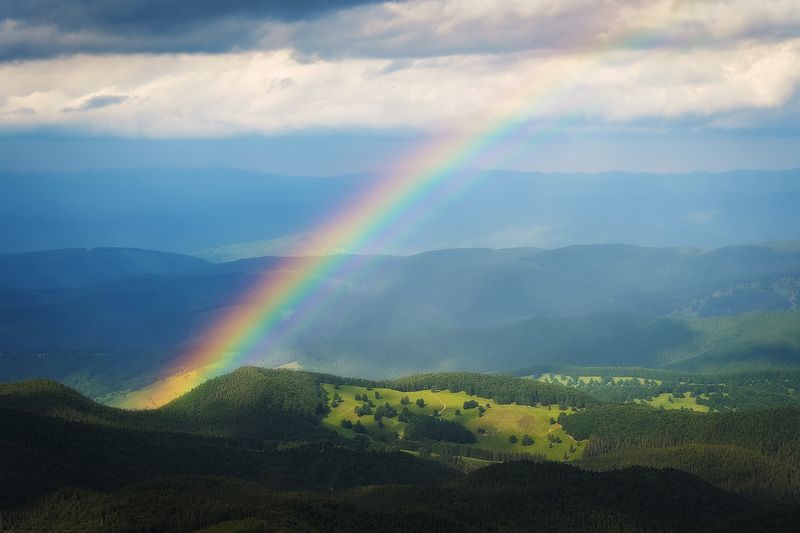 2025 фото превью