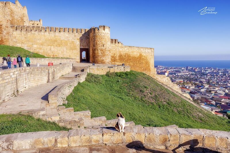 дагестан, дербент, дербентская крепость, нарын-кала Дербентская крепость фото превью