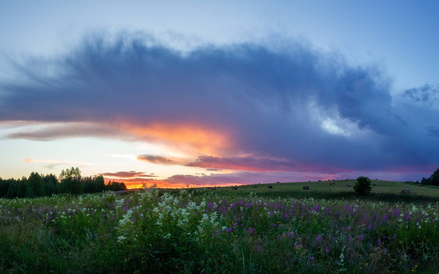 , Комарова Вера