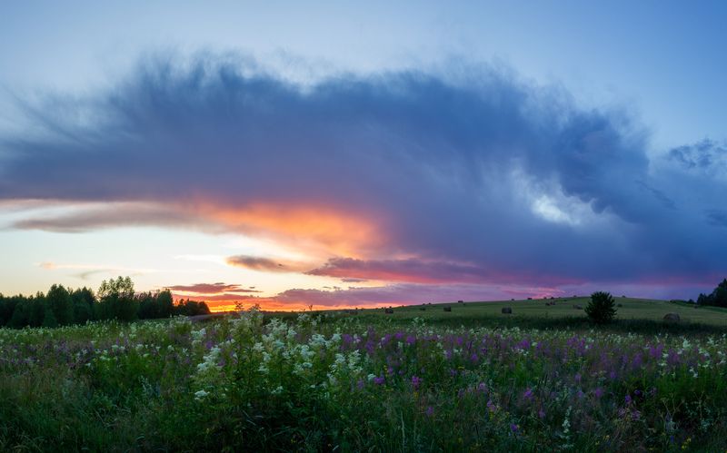 Грозовое крыло фото превью