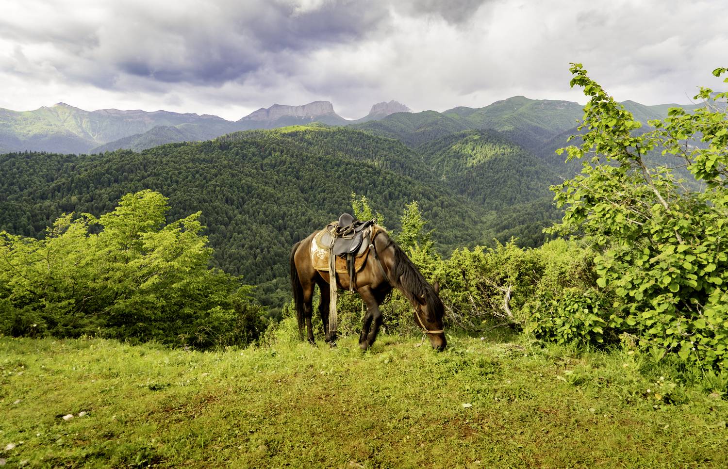 Россия, Краснодарский край, Мостовской район, Бароновы поляны, Чёртовы ворота, Восточный и Западный Ачешбоки, лошадь, , Гаврилов Юрий