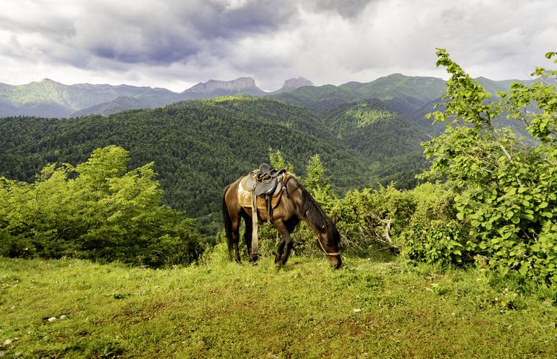 Россия, Краснодарский край, Мостовской район, Бароновы поляны, Чёртовы ворота, Восточный и Западный Ачешбоки, лошадь,  Это Кавказ... фото превью