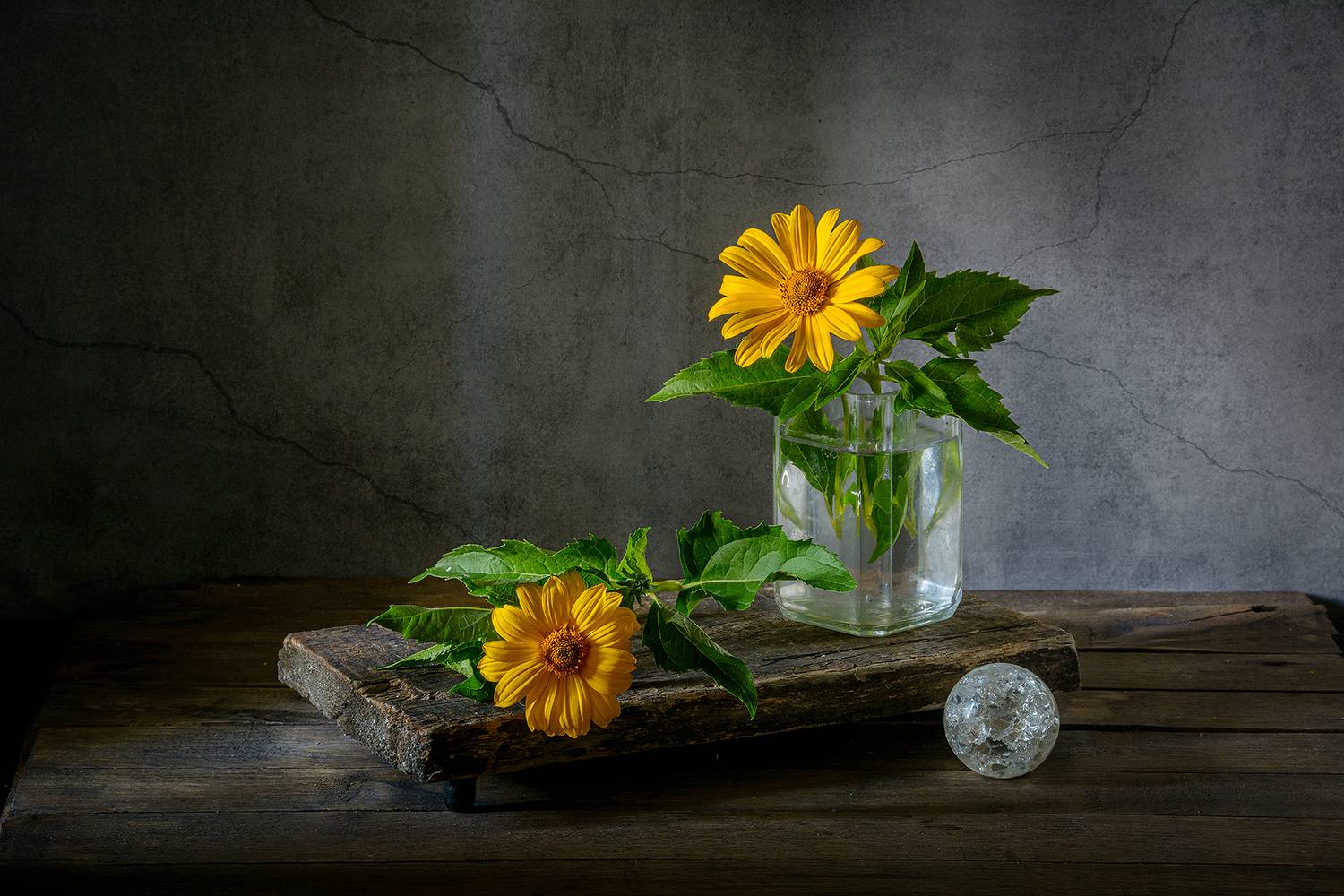 цветы, ложный подсолнух, подставка, стеклянный шар, Алексей Бычков