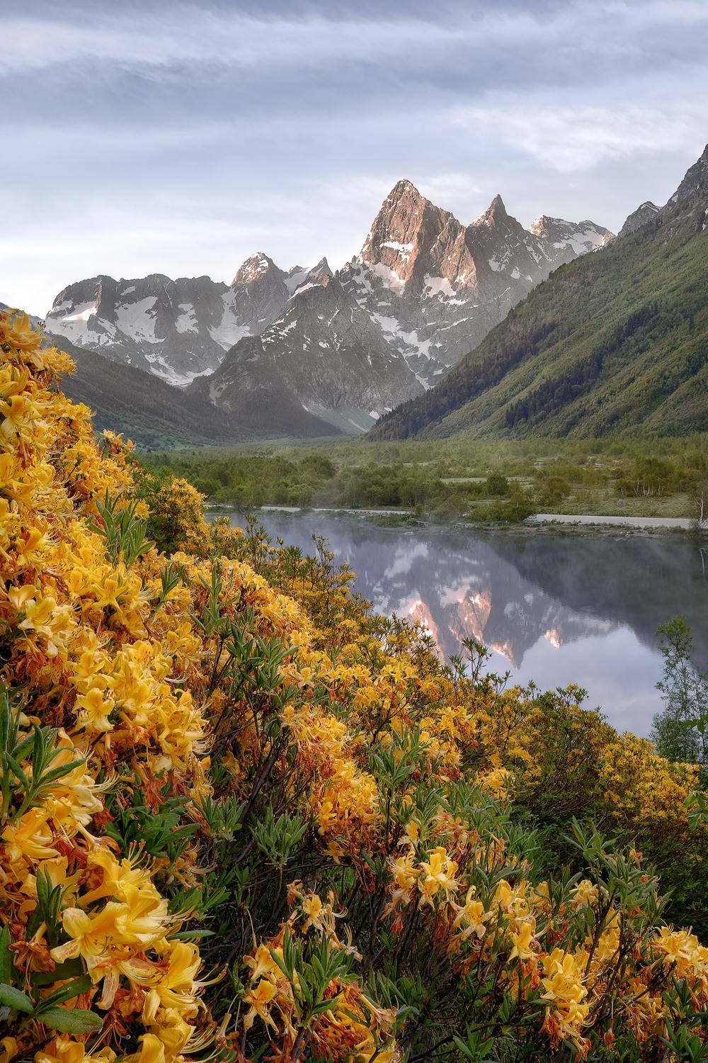 , Константин Маланин