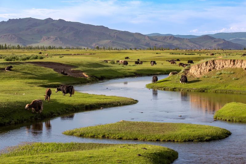 Монголия. Долина реки Орхон. фото превью