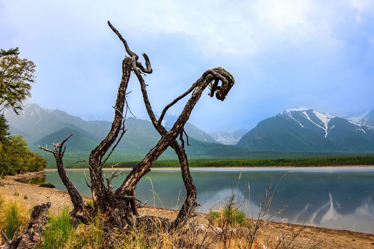 северный байкал, Добролюбова Тамара
