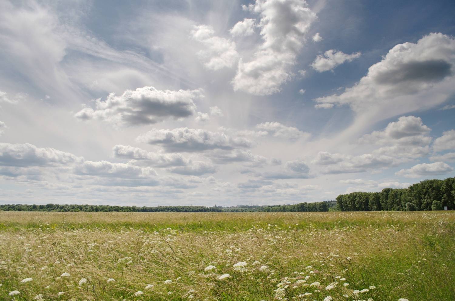 , Сергей Клапишевский