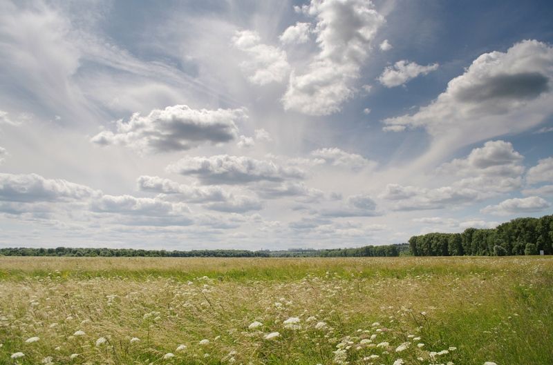 Боголюбово......заливной луг... фото превью