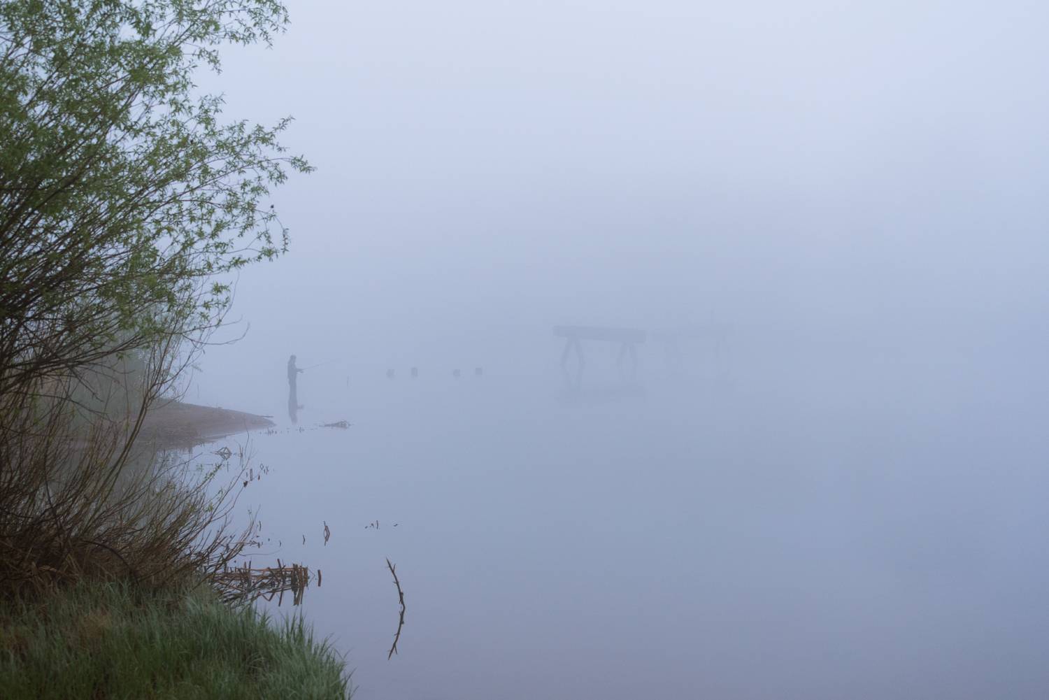 , Алексей Проняхин