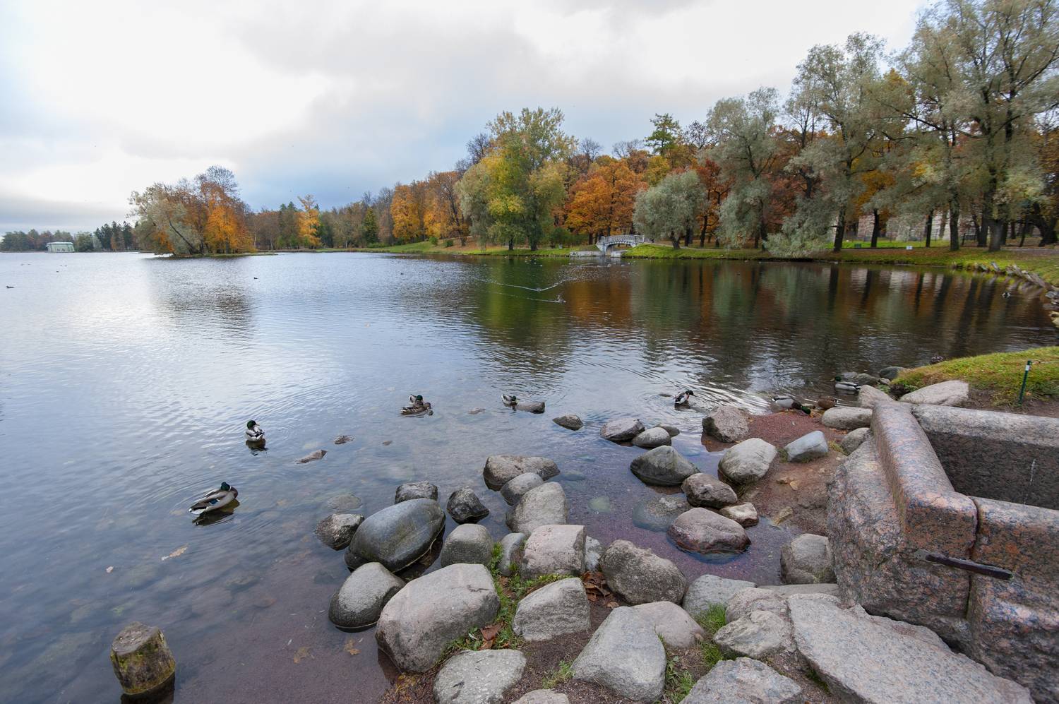 , Георгий Сапожников