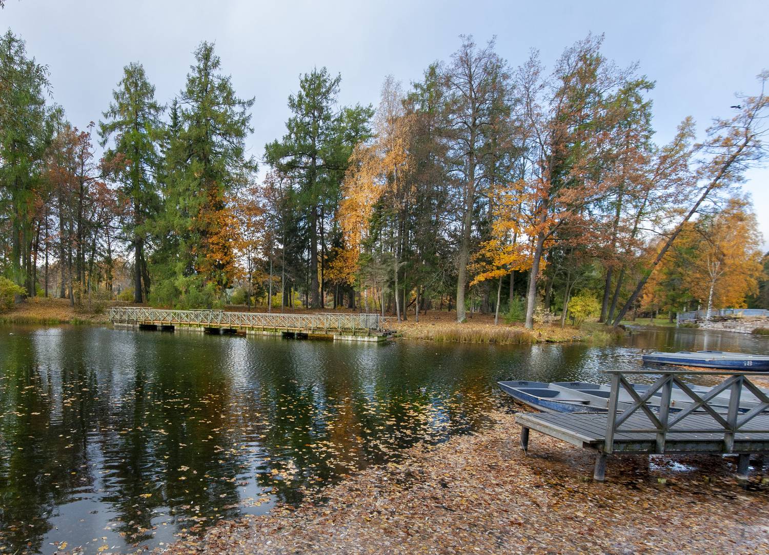 , Георгий Сапожников
