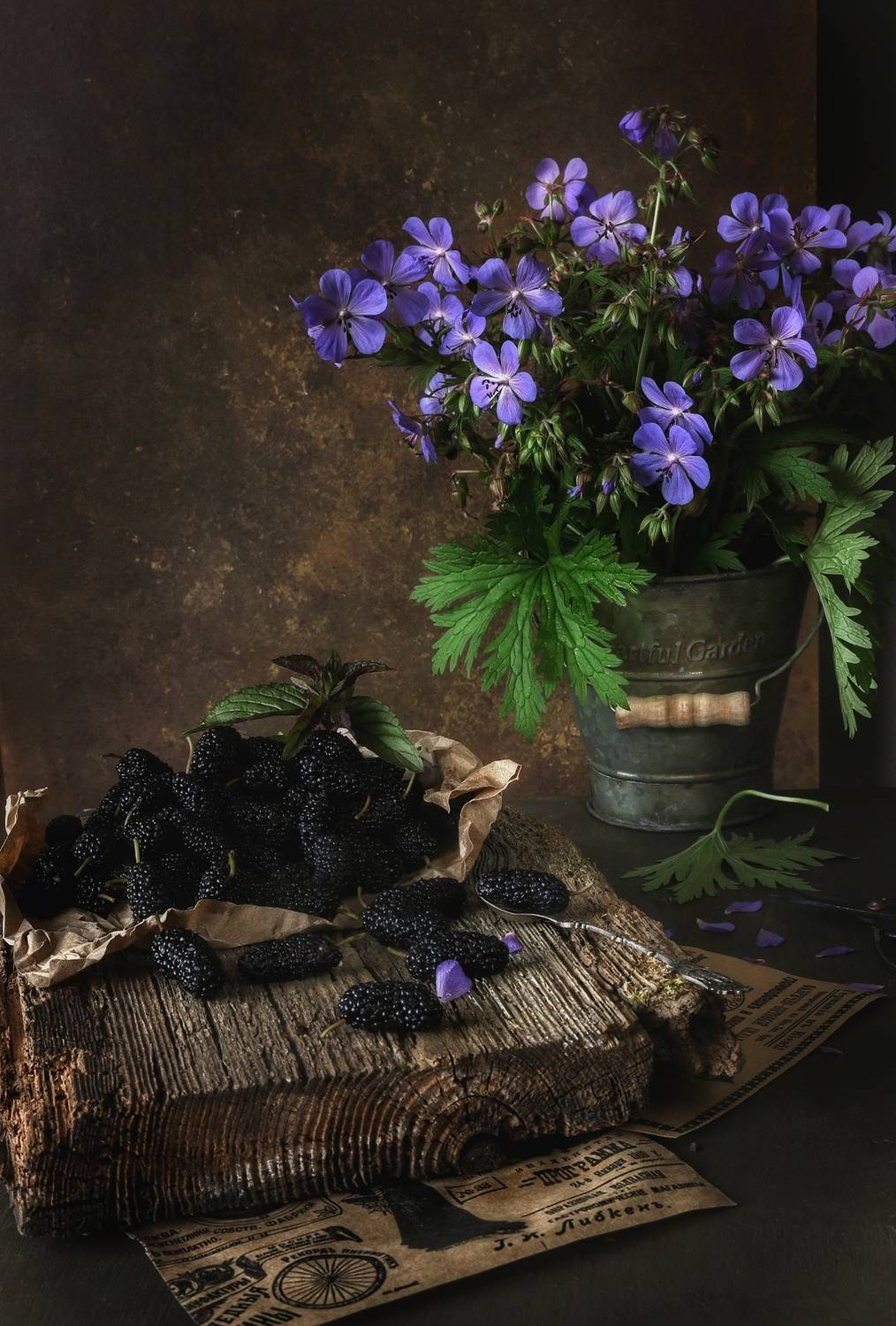 , Angelica Medvedeva