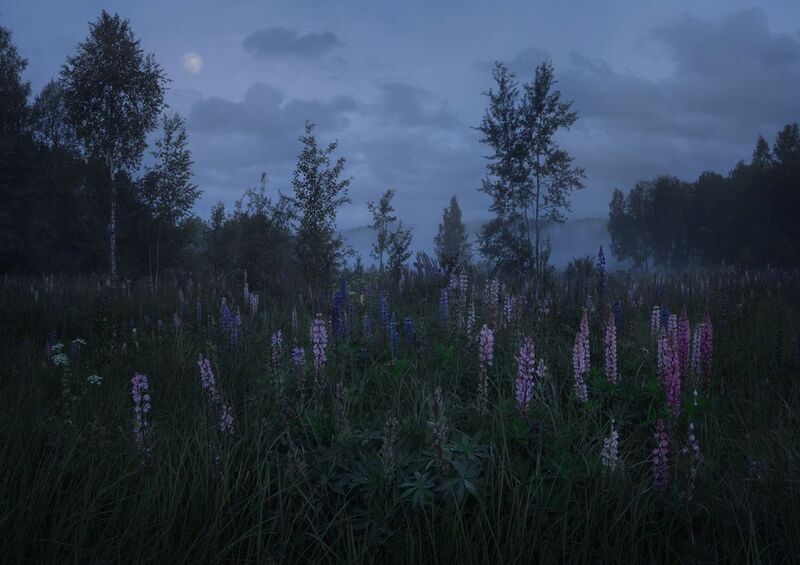 *** фото превью