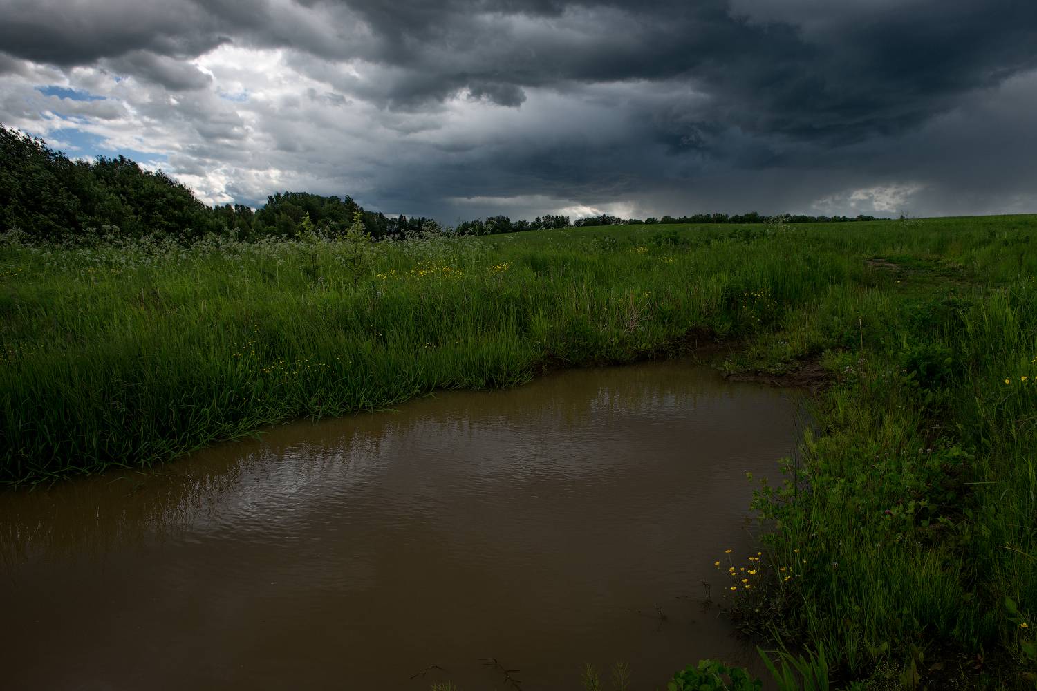 , Борис Леваков