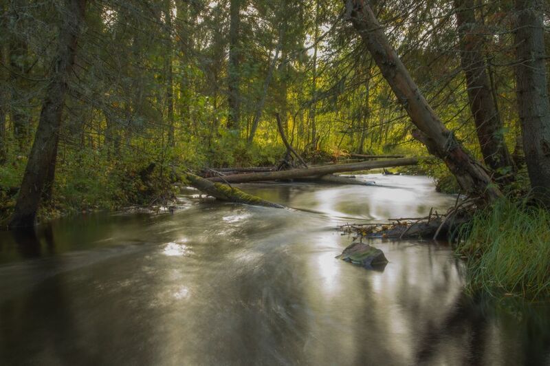 Лес, река, камни, осень, Карелия Карелия фото превью