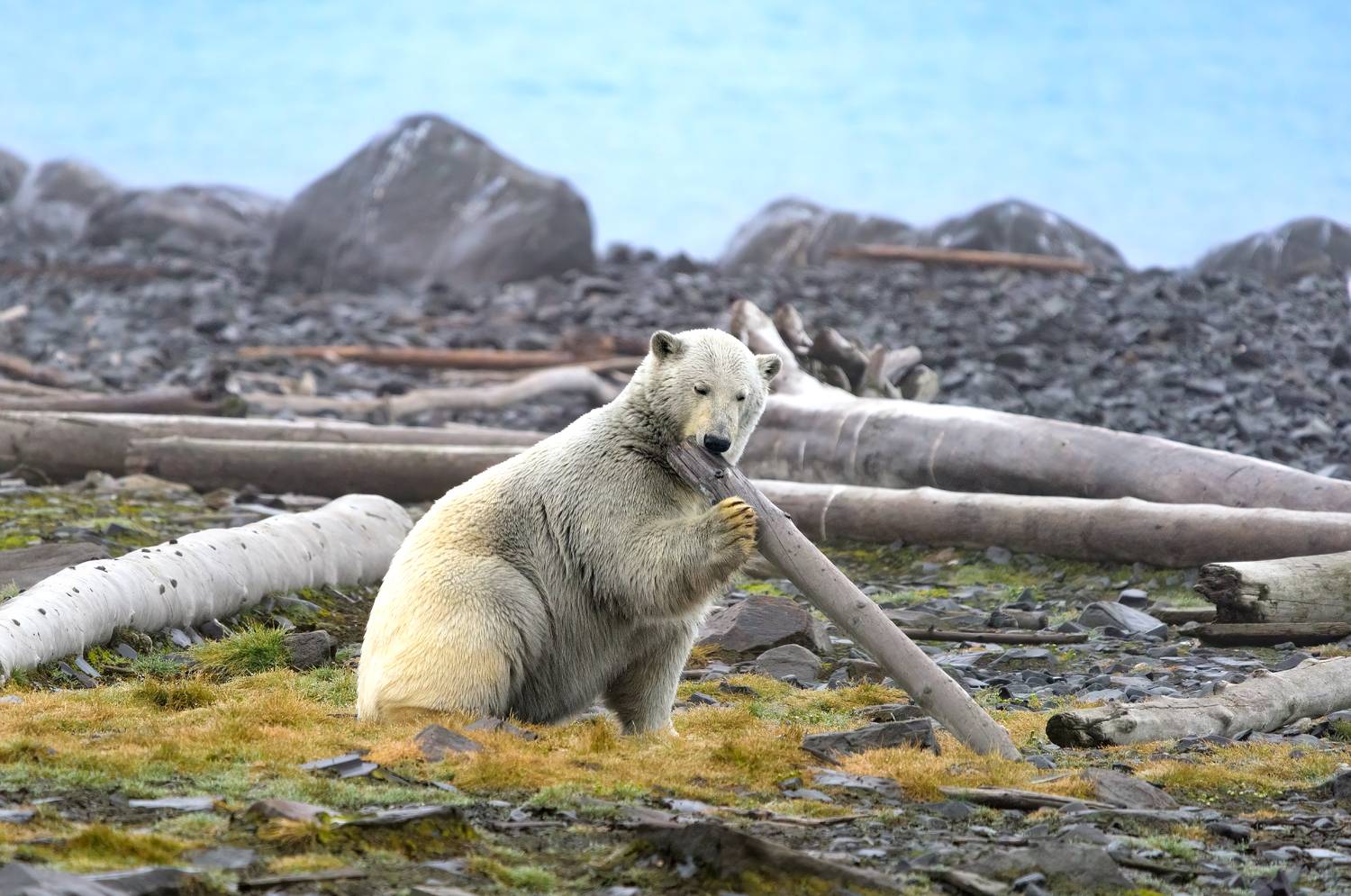 , Юрий Матвеев