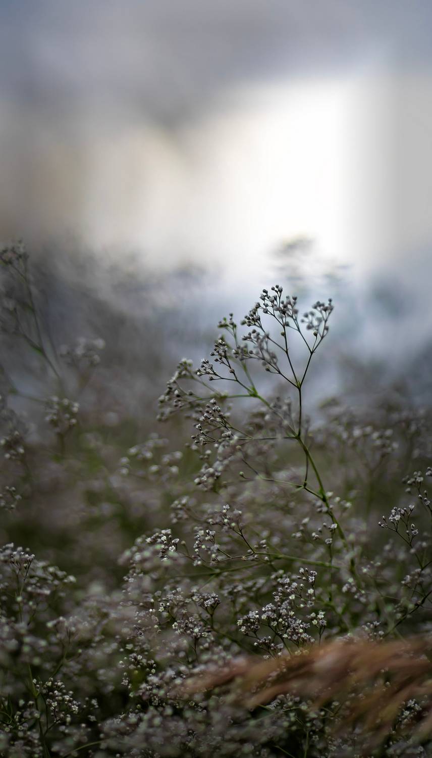 , Подосинников Максим