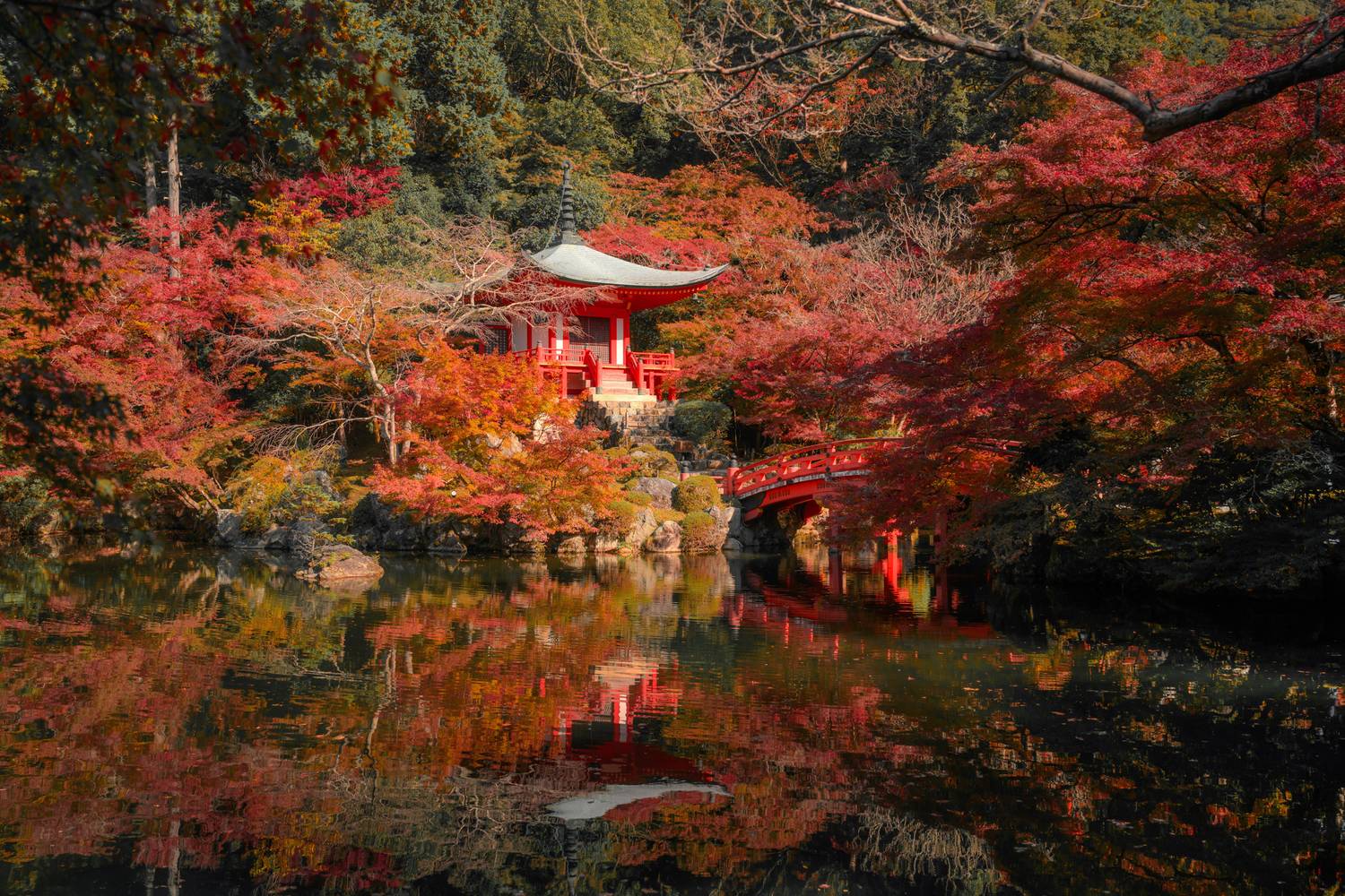 япония, осень, клены, japan, kyoto, Kaznov Stanislav