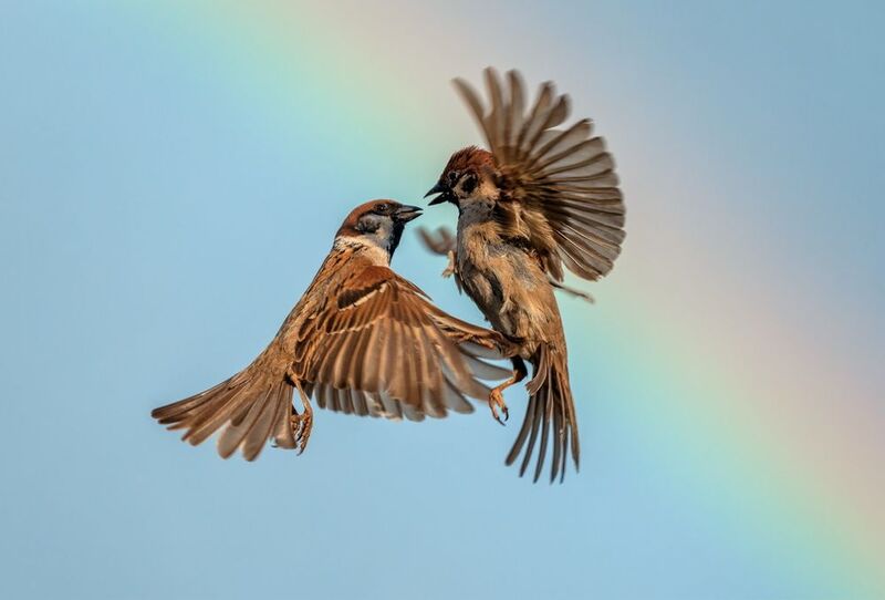 После дождя фото превью