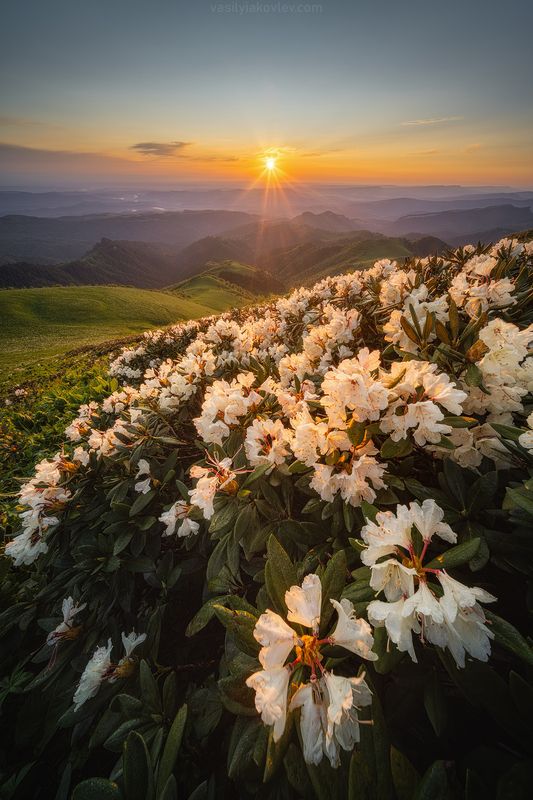тхач, большой тхач, фототур, яковлевфототур, кавказ, адыгея Утро на Кавказе фото превью