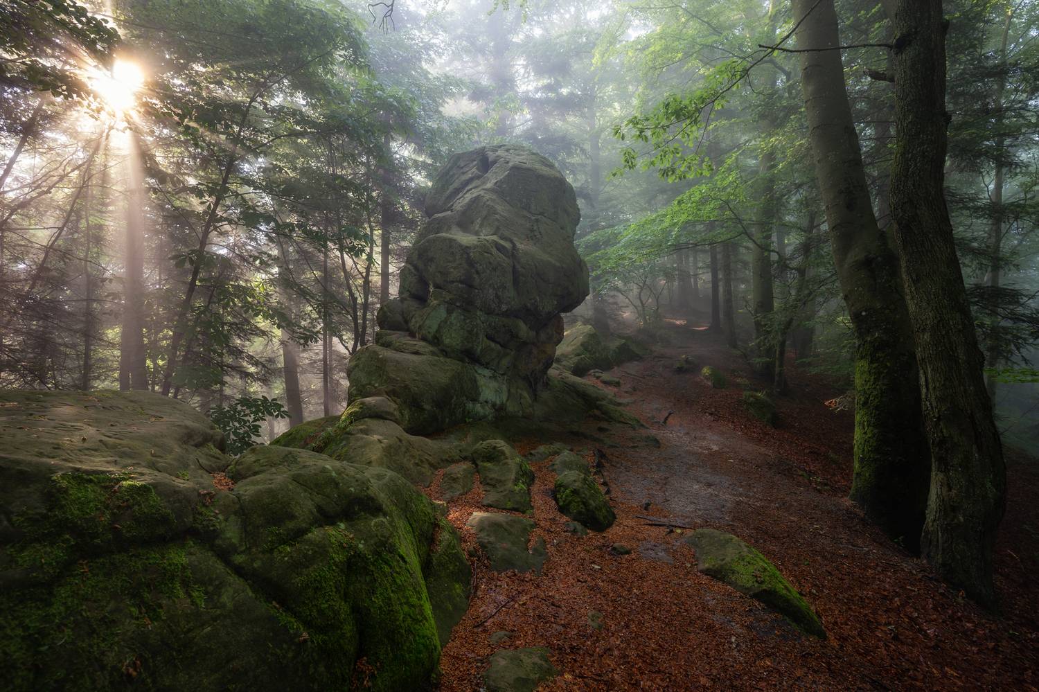 ,  Mirosław Pruchnicki