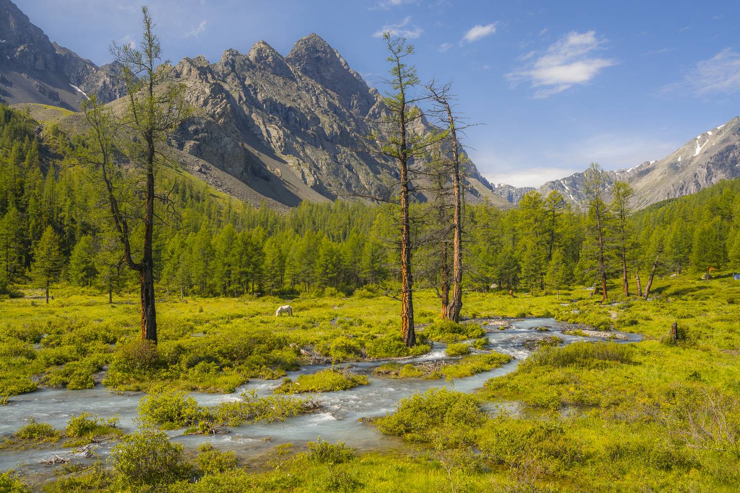 россия, горный алтай, Поляков Андрей