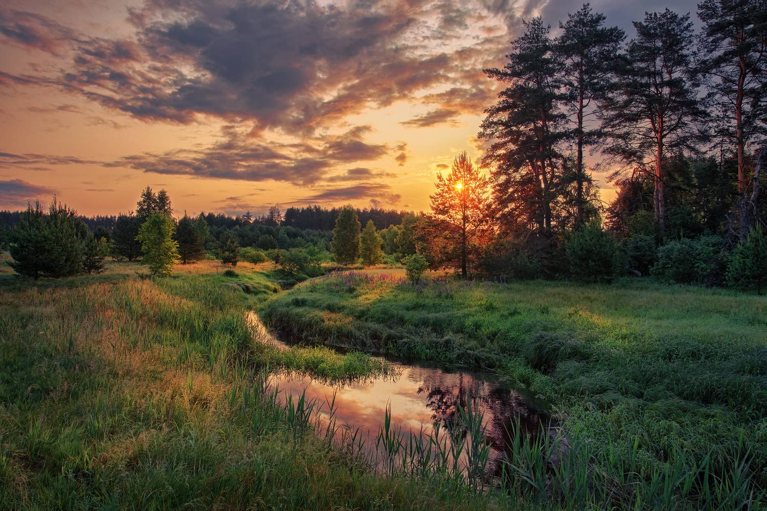 , Евгений Ерохин