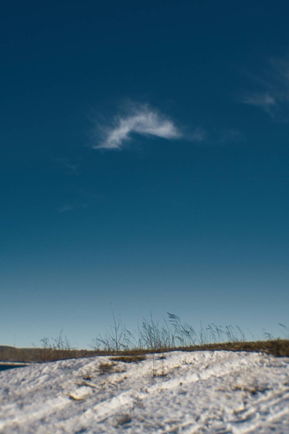 , Таня Смолевская